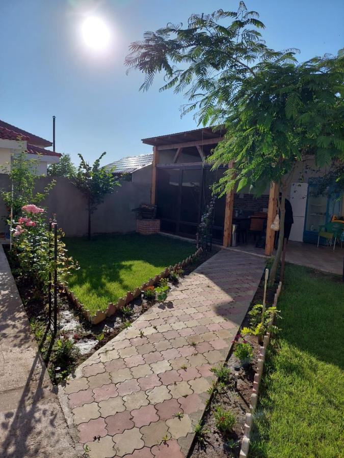 Albdevara Mar Srl Vama Veche Exterior photo
